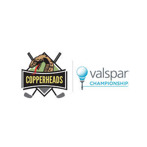 Team Page: Copperhead Charities / Valspar